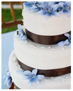 wedding cakes colorado springs