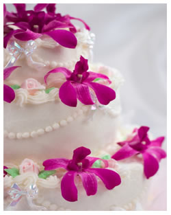 wedding cakes colorado springs